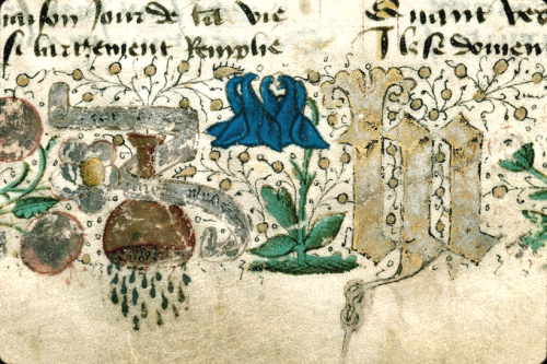 La fleur d&#39;ancolie associ&eacute;e aux devises de Marie de Cl&egrave;ves, Recueil des po&eacute;sies de Charles d&rsquo;Orl&eacute;ans (Carpentras, BM, ms. 0375, 1457)&nbsp;

&nbsp;

[1]&nbsp;.