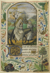 Heures de Michel Jouvenel, Paris, BnF, NAL 3113 Heures de Michel Jouvenel, Paris, BnF, NAL 3113