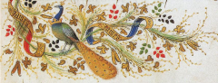 Le genêt au naturel, associé à la branche de mai, aux quatre couleurs et au mot JAMES. Détail de la marge du Pierre Salmon, Dialogues, Genève, B.M., Ms. fr. 165, fol. 7. Le genêt au naturel, associé à la branche de mai, aux quatre couleurs et au mot JAMES. Détail de la marge du Pierre Salmon, Dialogues, Genève, B.M., Ms. fr. 165, fol. 7.