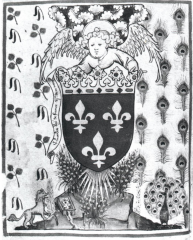 Cosses de genêt et branches de genêt fleuries. Folio d'introduction de l'Armorial de la Cour Amoureuse. Vienne, Archives d’Etat, Toison d’Or, ms. 51, f°2v°, vers 1409-1410. Cosses de genêt et branches de genêt fleuries. Folio d'introduction de l'Armorial de la Cour Amoureuse. Vienne, Archives d’Etat, Toison d’Or, ms. 51, f°2v°, vers 1409-1410.