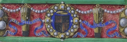 Image1