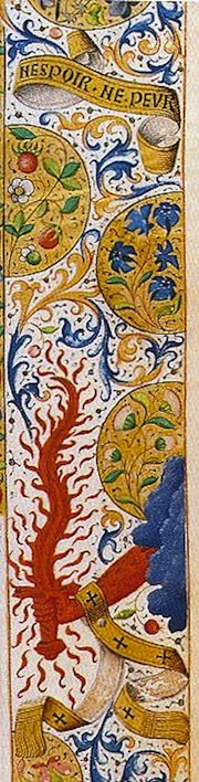Image1
