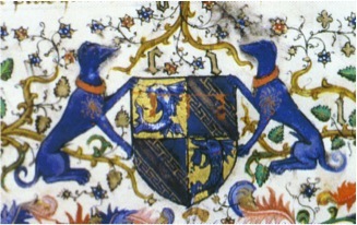 Image1