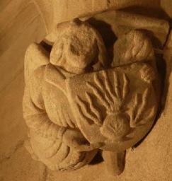 Image2