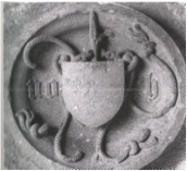 Image1