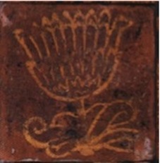 Image1