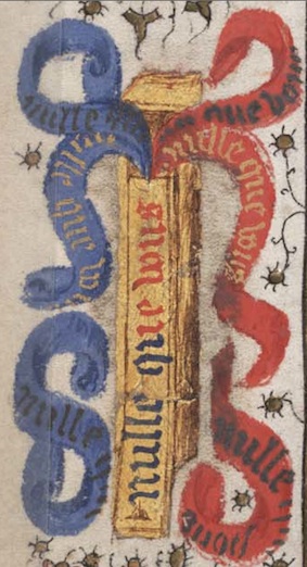 Image1