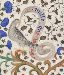Image2