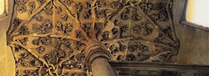 Image1
