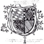 Image1