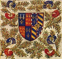 Image1