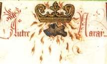 Image1