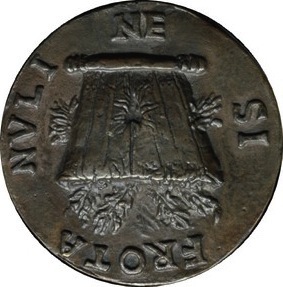 Image1