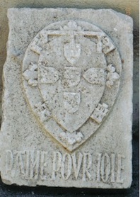 Image1