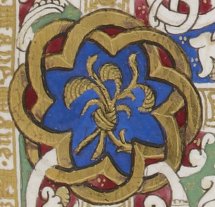Image1