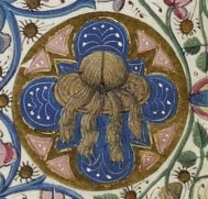 Image1