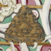 Image1