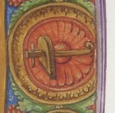 Image1