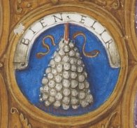 Image1
