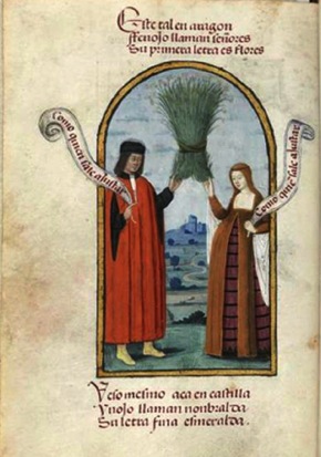 Image1