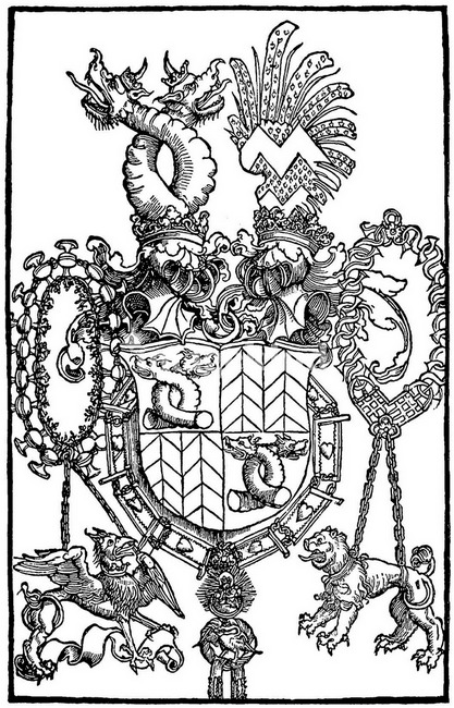 Image1