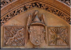 Image1