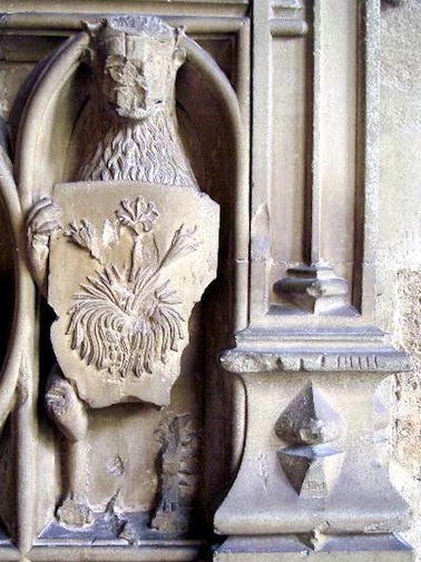 Image1