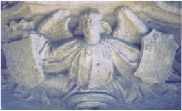 Image1