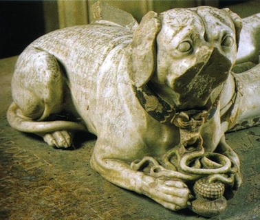 Image1